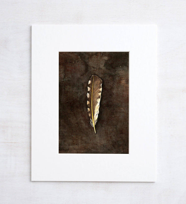 Northern Flicker Feather Print, Spotted Feather Watercolor