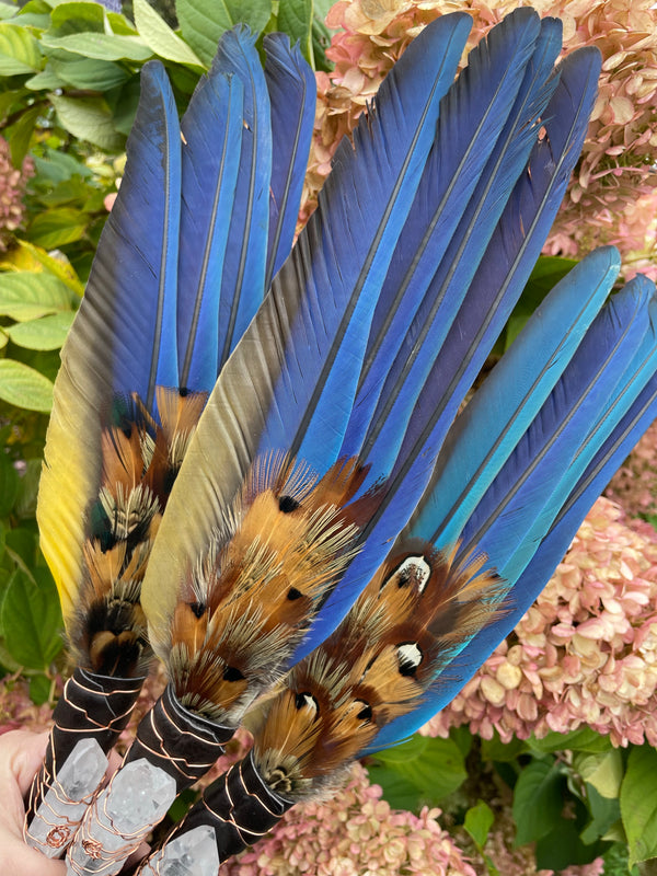 Handcrafted Macaw Feather Smudge Fan