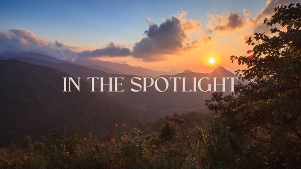 In the Spotlight: Temple of Life Oils & Perfumes