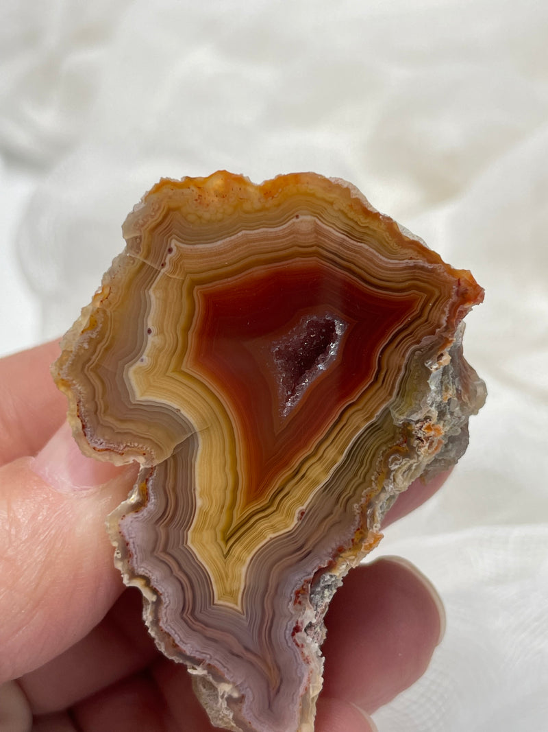 Laguna Agate Specimen