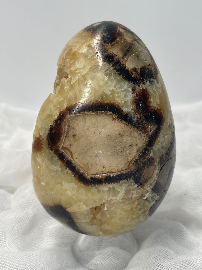 Septarian Nodule “Dragon’s Stone” Egg