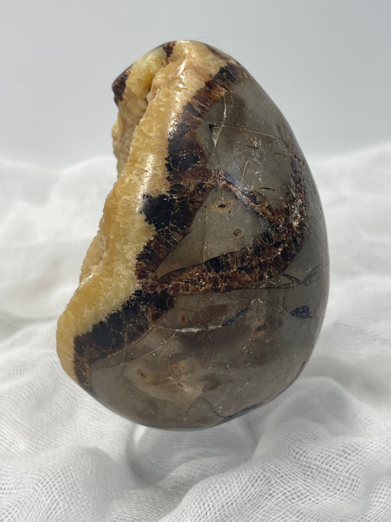 Septarian Nodule “Dragon’s Stone” Egg