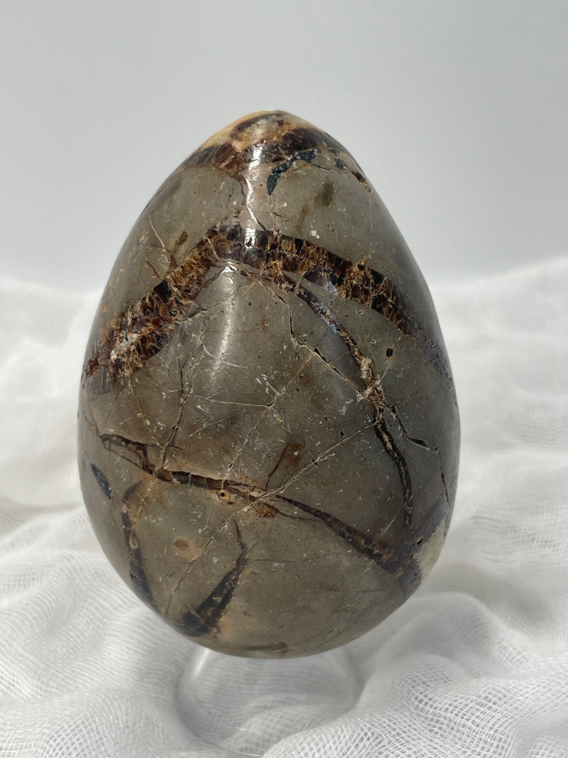 Septarian Nodule “Dragon’s Stone” Egg