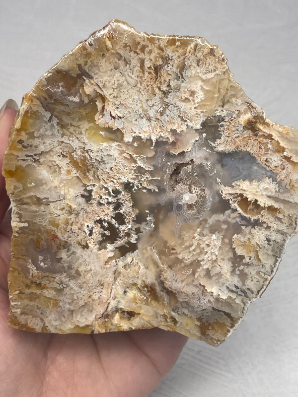 Graveyard Point “Regency Rose” Plume Agate