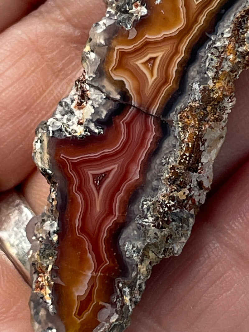 Laguna Agate Specimen