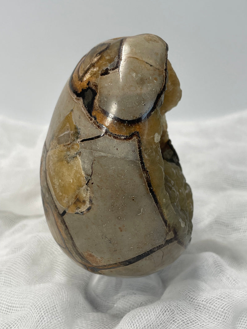 Septarian Nodule “Dragon’s Stone” Egg