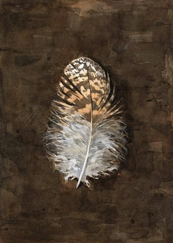 Owl Feather Watercolor Print