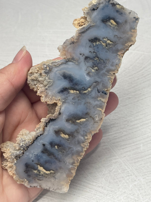 Graveyard Point Plume Agate