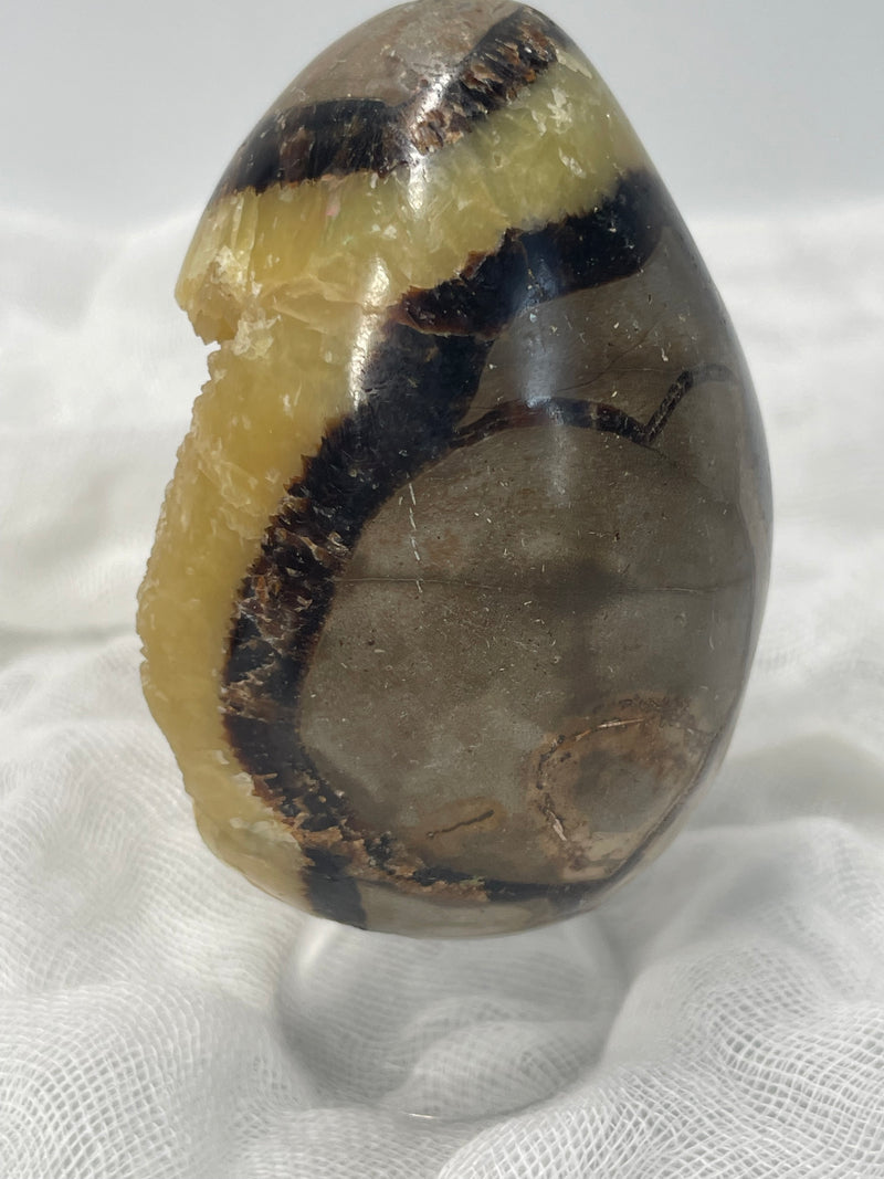 Septarian Nodule “Dragon’s Stone” Egg