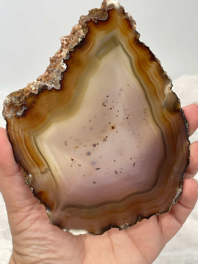 Natural Brazilian Agate Slice