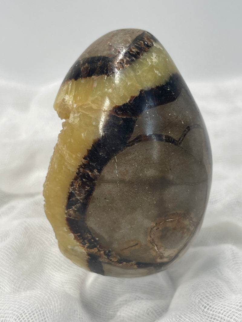 Septarian Nodule “Dragon’s Stone” Egg