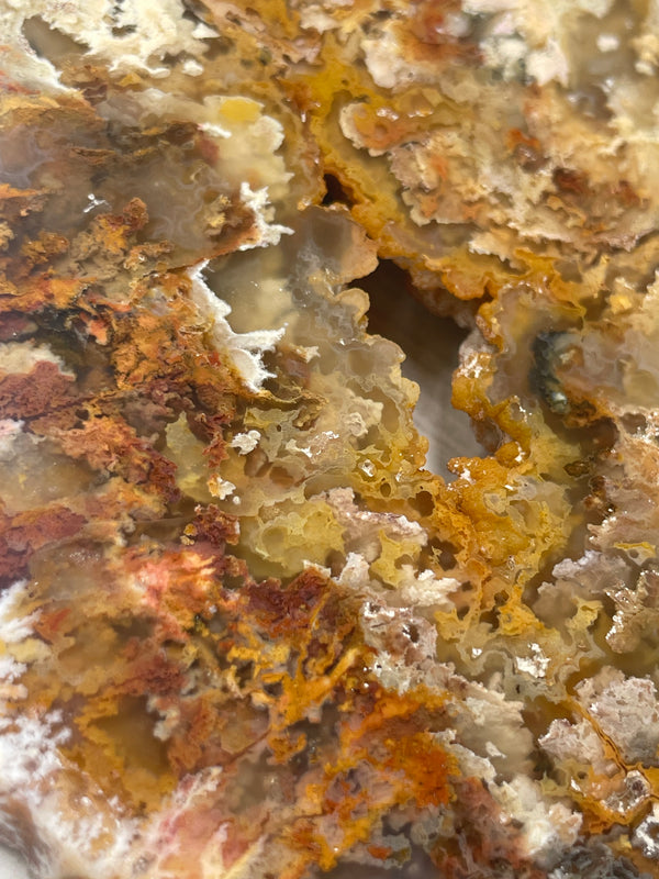 Graveyard Point “Regency Rose” Plume Agate Slab