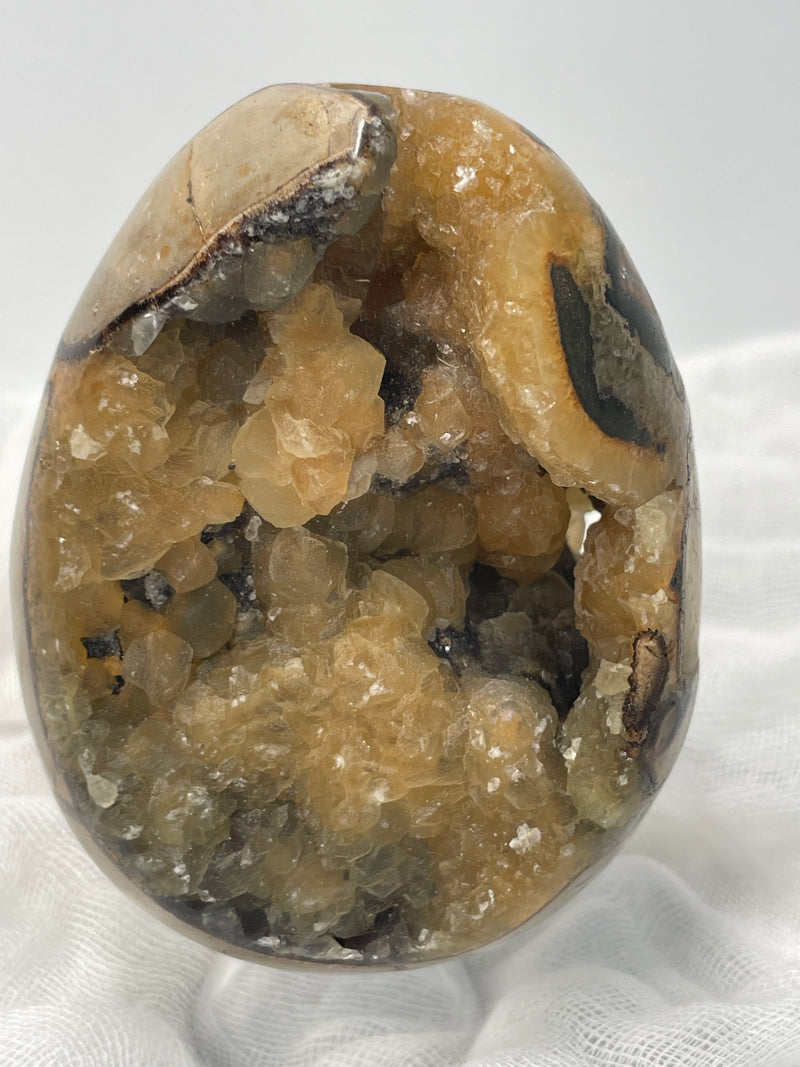 Septarian Nodule “Dragon’s Stone” Egg