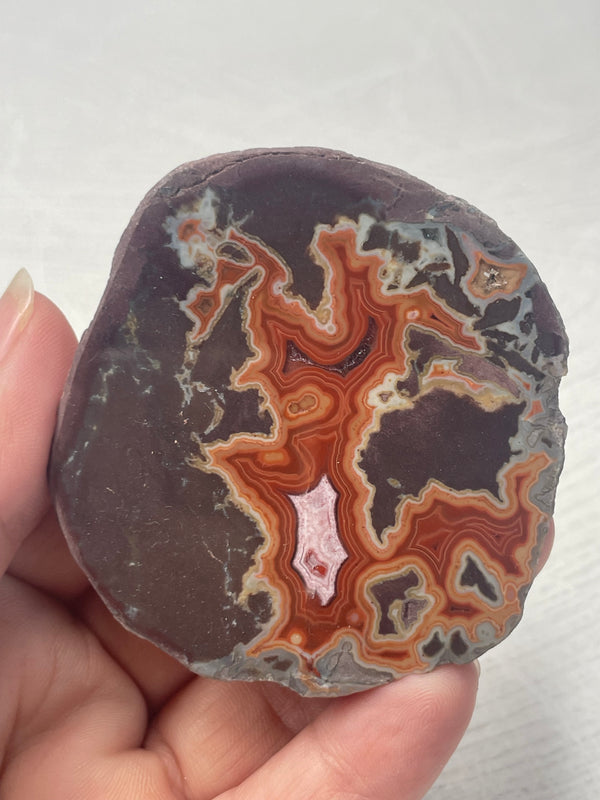 Dryhead Agate (Montana)