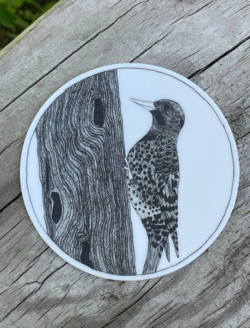 Northern Flicker Sticker