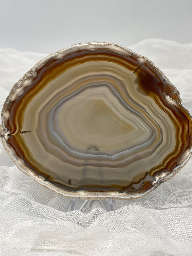 Natural Brazilian Agate Slice