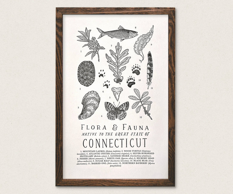 Connecticut Field Guide Print