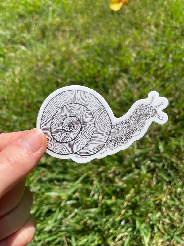 Inkling Snail Sticker
