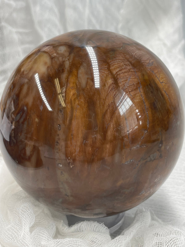 Large Petrified Wood Sphere