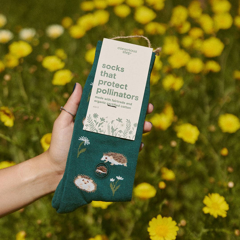 Socks that Protect Pollinators - Hedgehogs