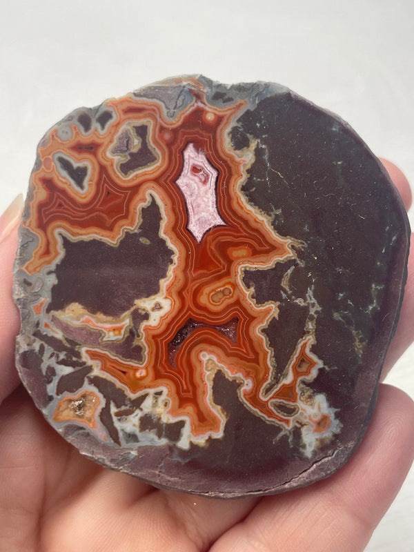 Dryhead Agate (Montana)