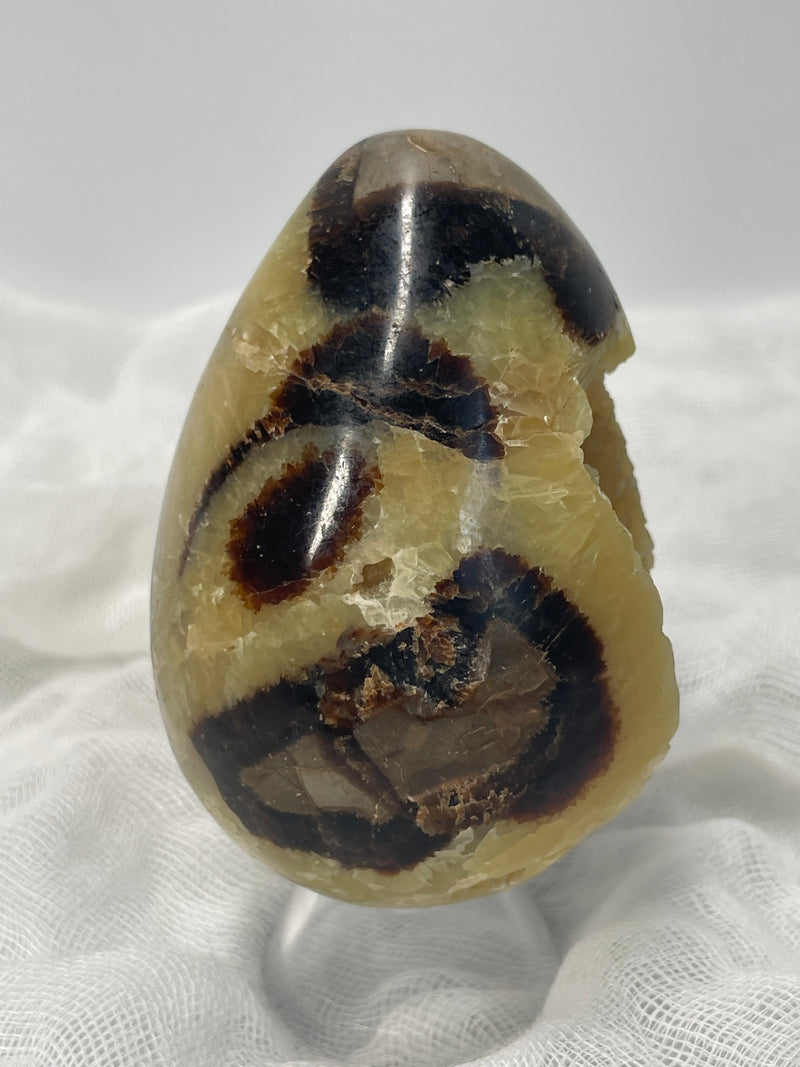 Septarian Nodule “Dragon’s Stone” Egg