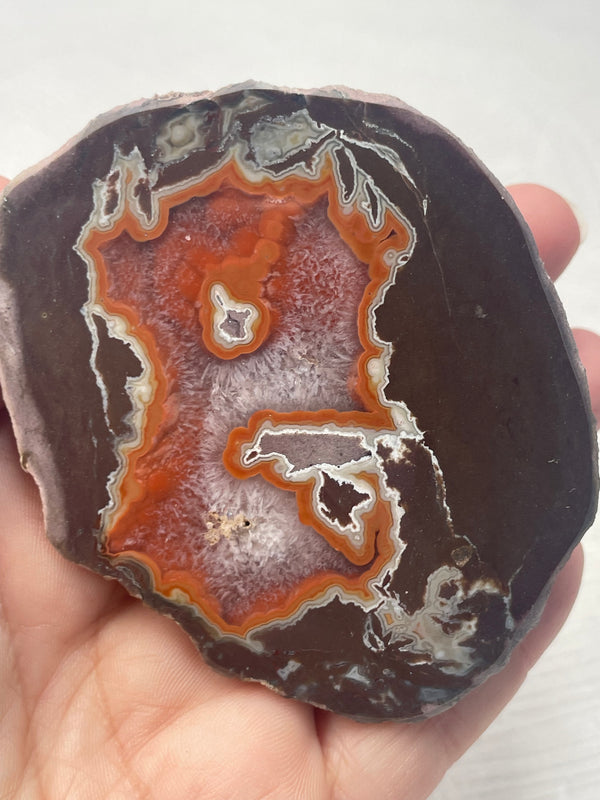 Dryhead Agate (Montana)