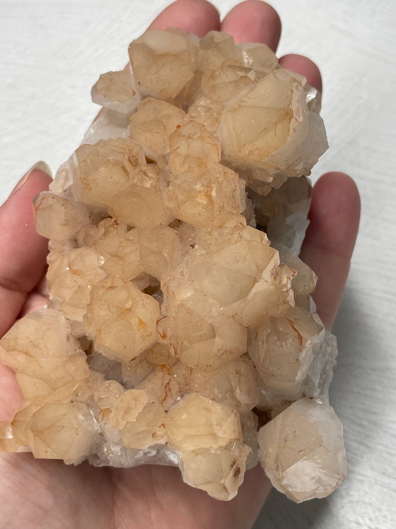 Quartz Cluster / Orange River, SA