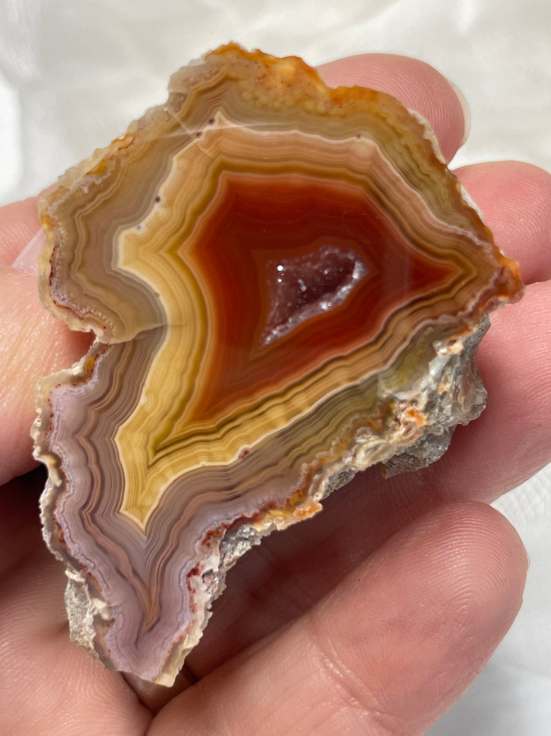 Laguna Agate Specimen