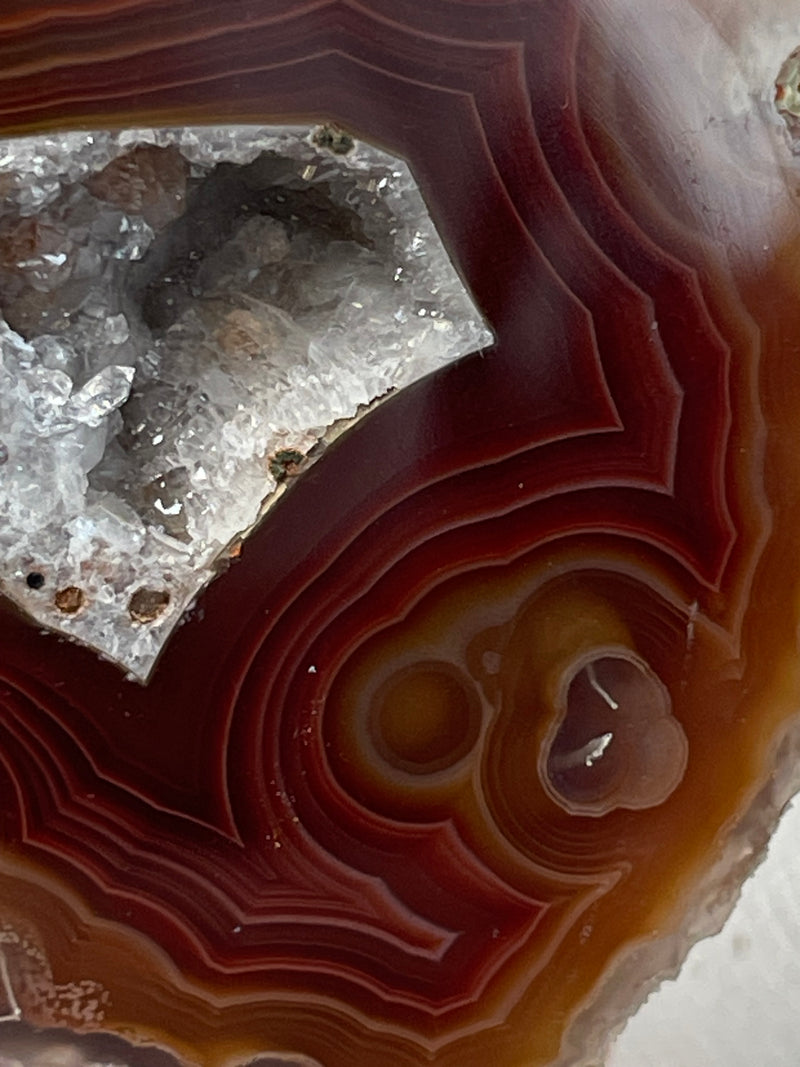 Laguna Agate Specimen