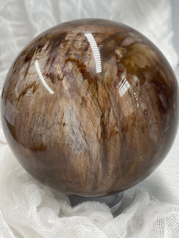 Large Petrified Wood Sphere