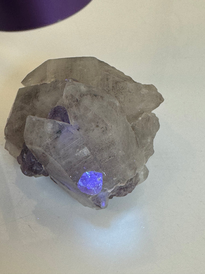 *Rare* Arizona USA Fluorite & Quartz/Hand-Dug