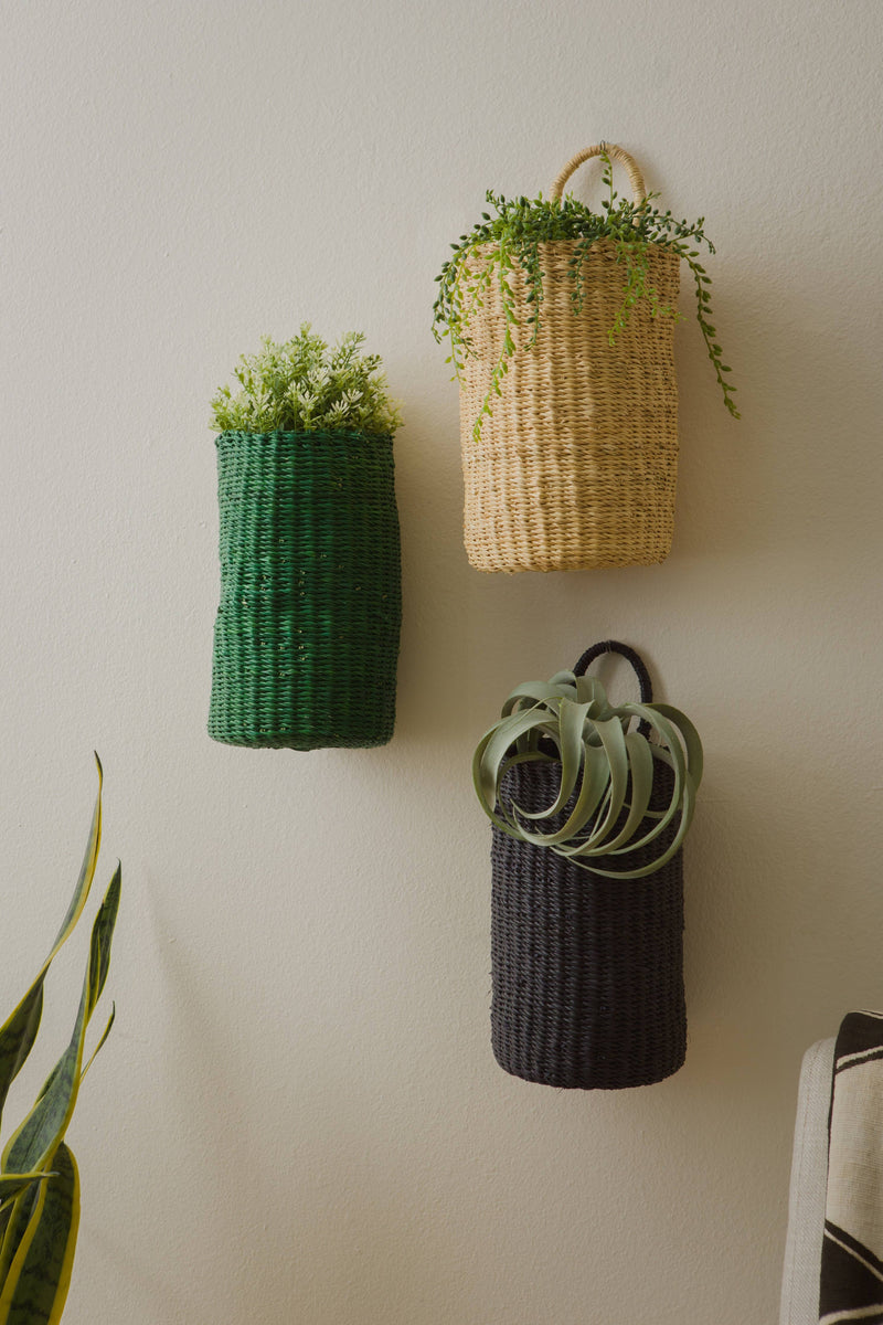 Green Hanging Basket