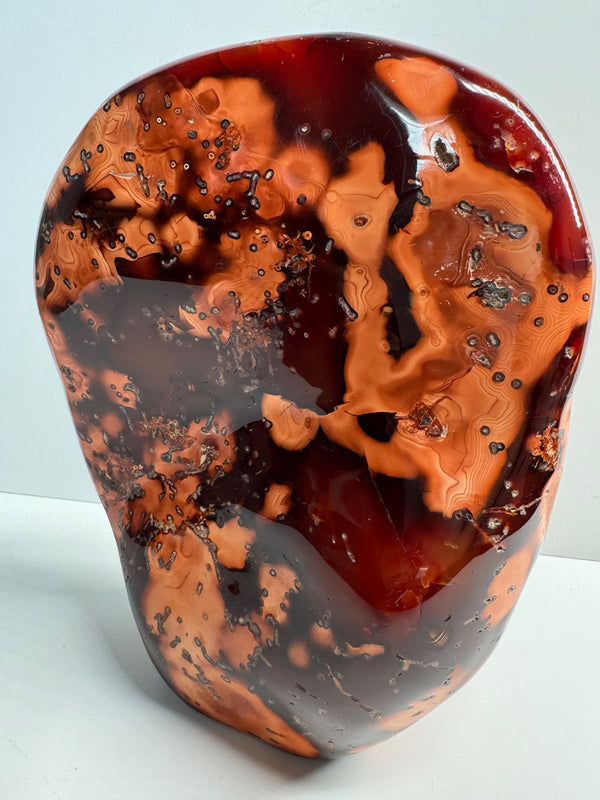 Carnelian Free Form - Statement Piece