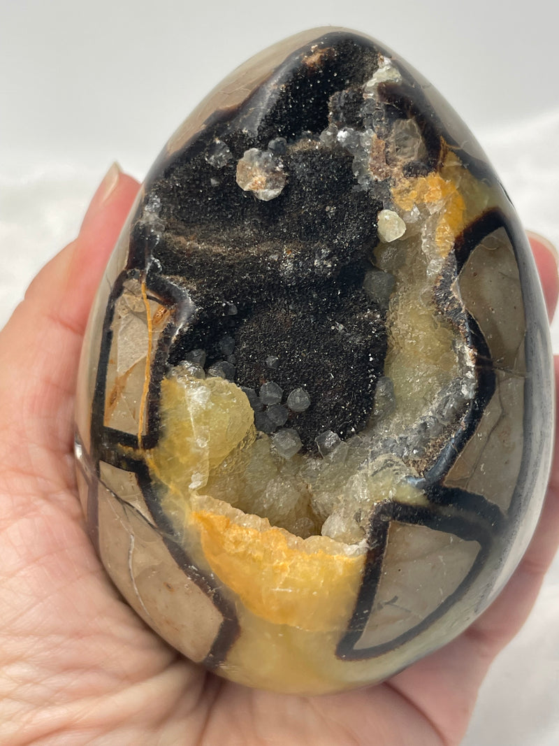 Septarian Nodule “Dragon’s Stone” Egg