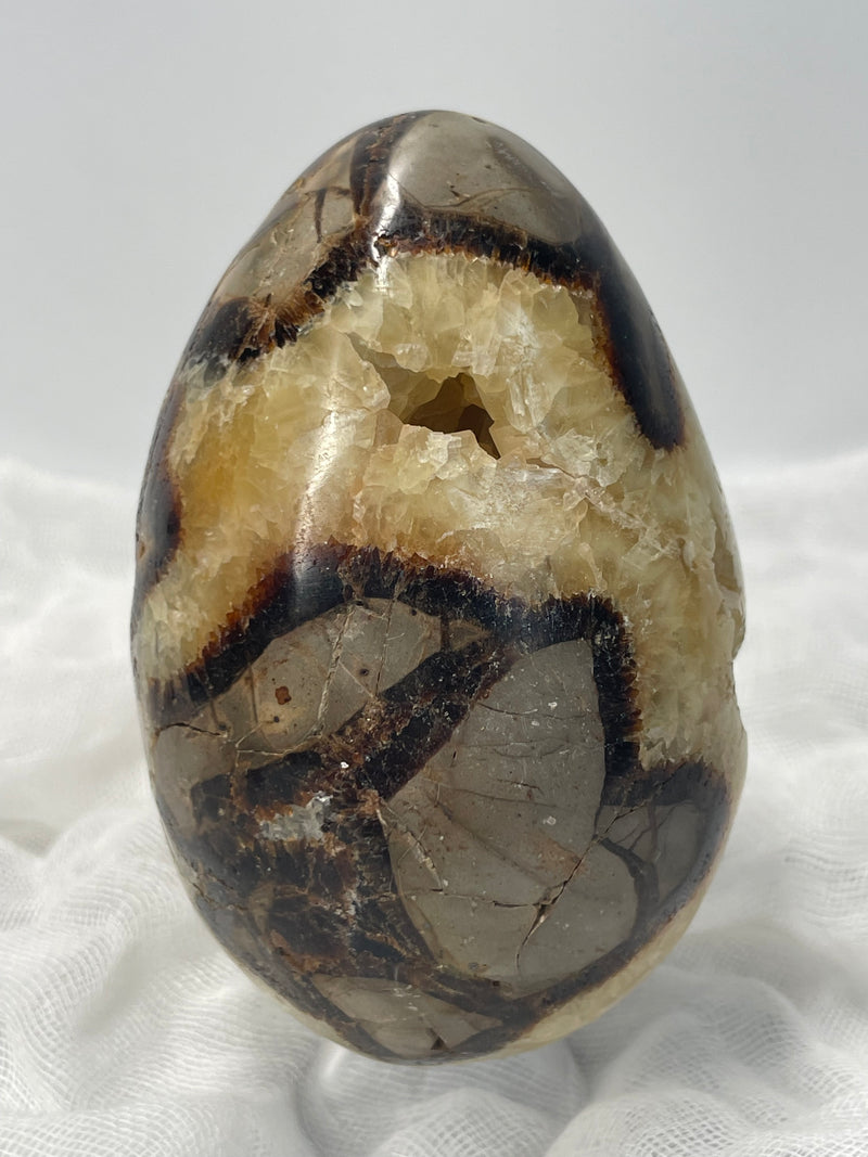 Septarian Nodule “Dragon’s Stone” Egg