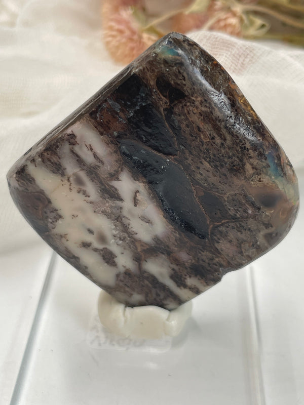 *Rare* Opalized Wood