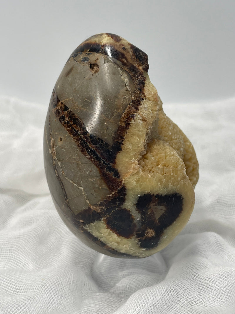 Septarian Nodule “Dragon’s Stone” Egg