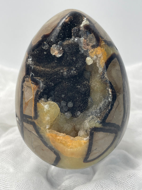 Septarian Nodule “Dragon’s Stone” Egg