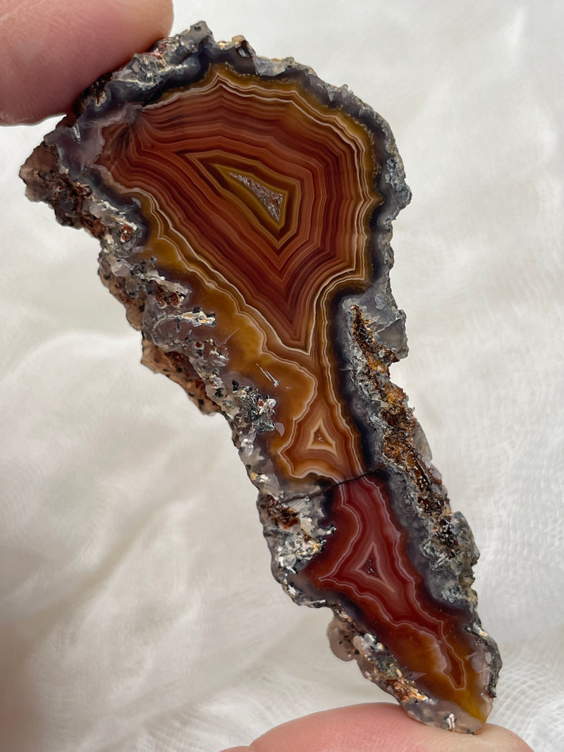 Laguna Agate Specimen