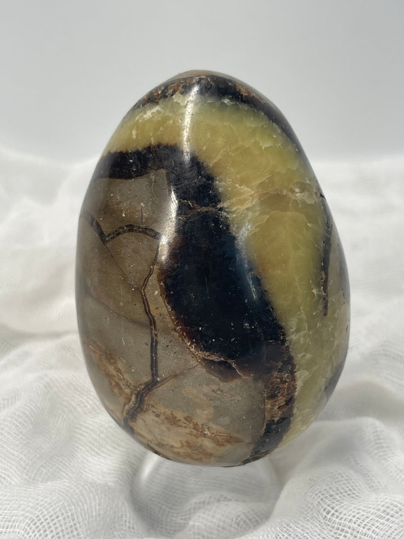 Septarian Nodule “Dragon’s Stone” Egg