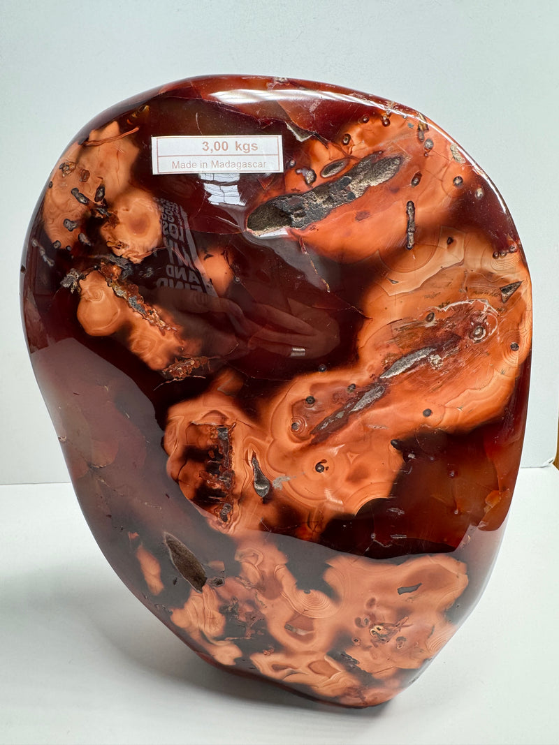 Carnelian Free Form - Statement Piece