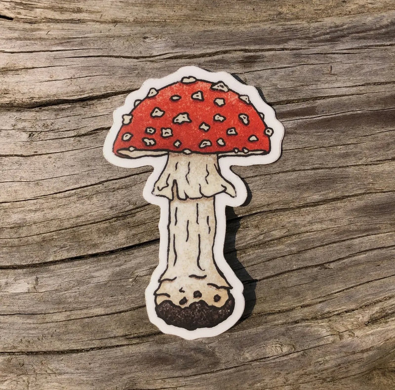 Vinyl Mushroom Stickers by The Fungi Arcana