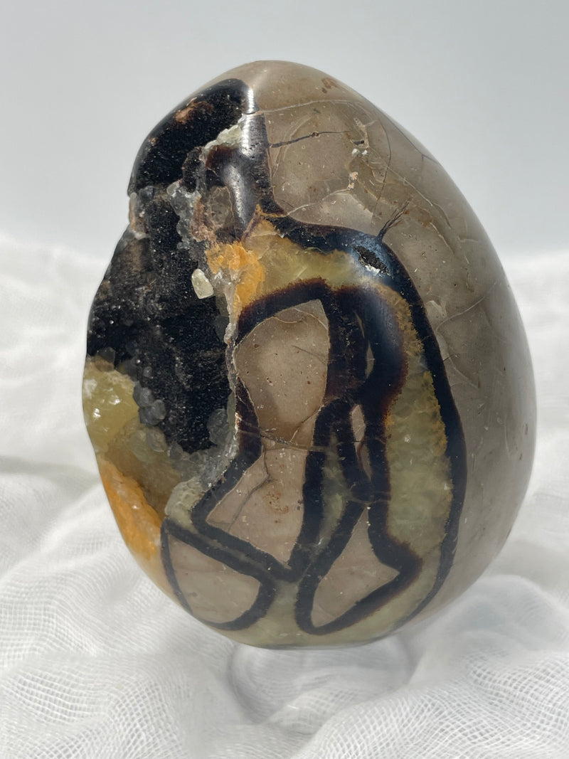 Septarian Nodule “Dragon’s Stone” Egg