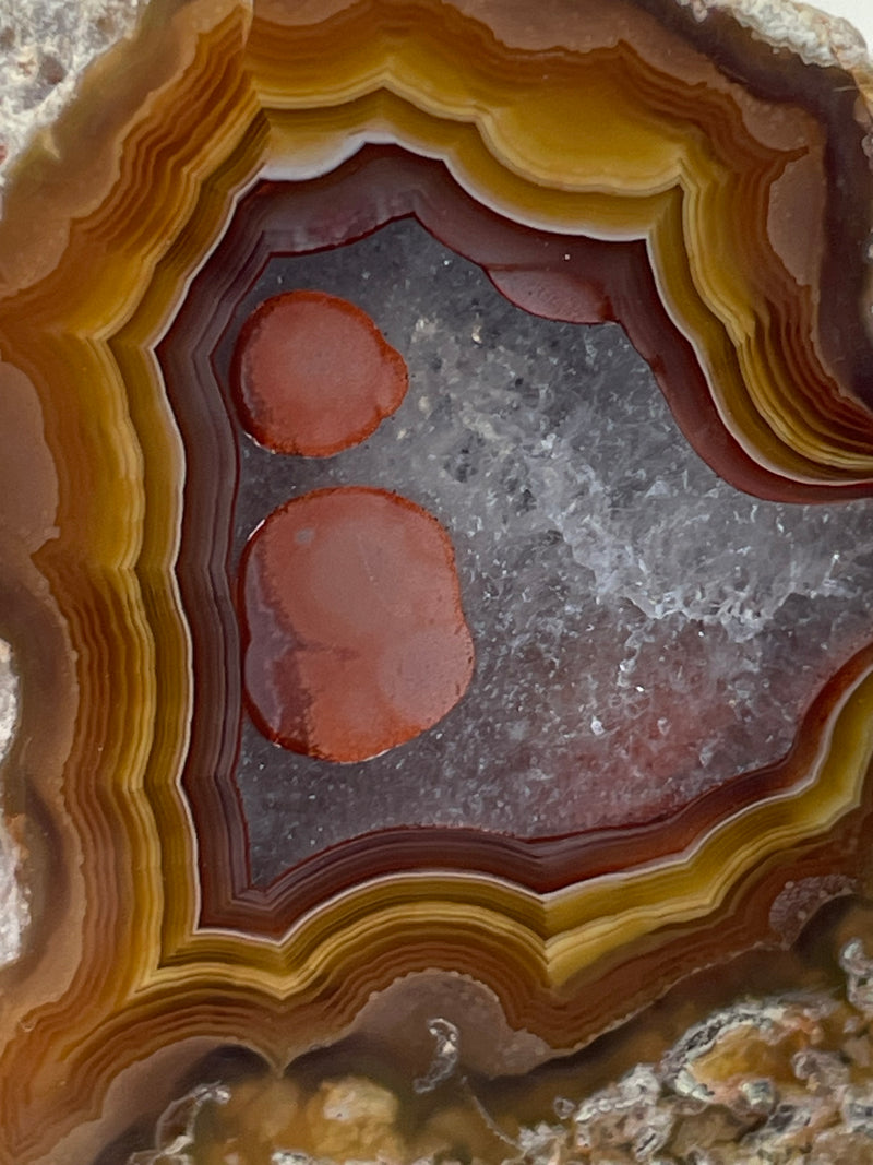 Coyamito Agate Specimen