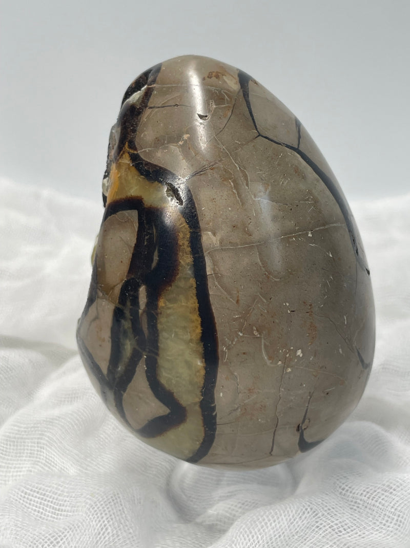 Septarian Nodule “Dragon’s Stone” Egg