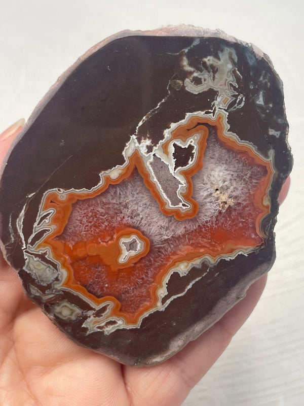 Dryhead Agate (Montana)