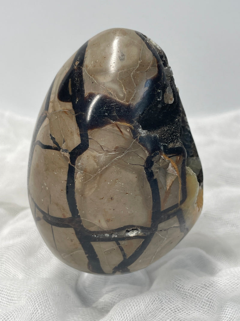 Septarian Nodule “Dragon’s Stone” Egg