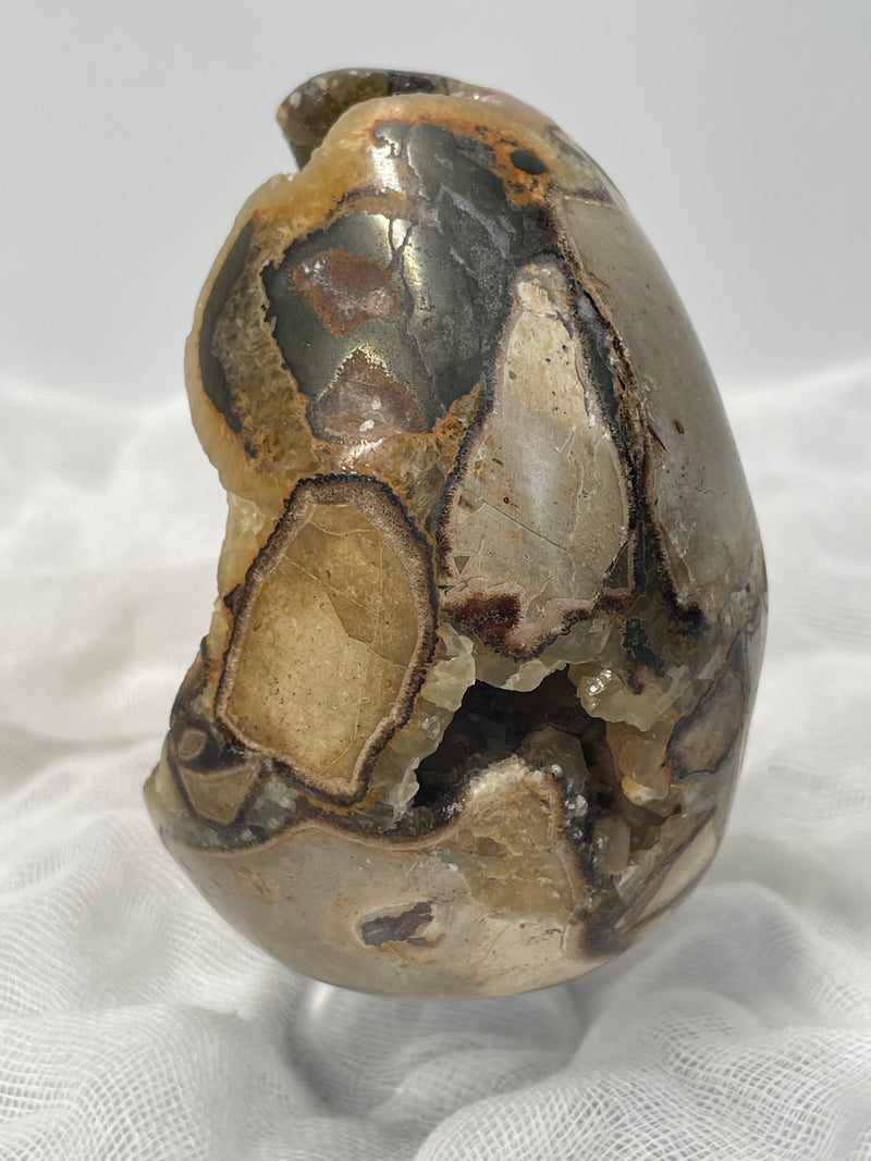 Septarian Nodule “Dragon’s Stone” Egg