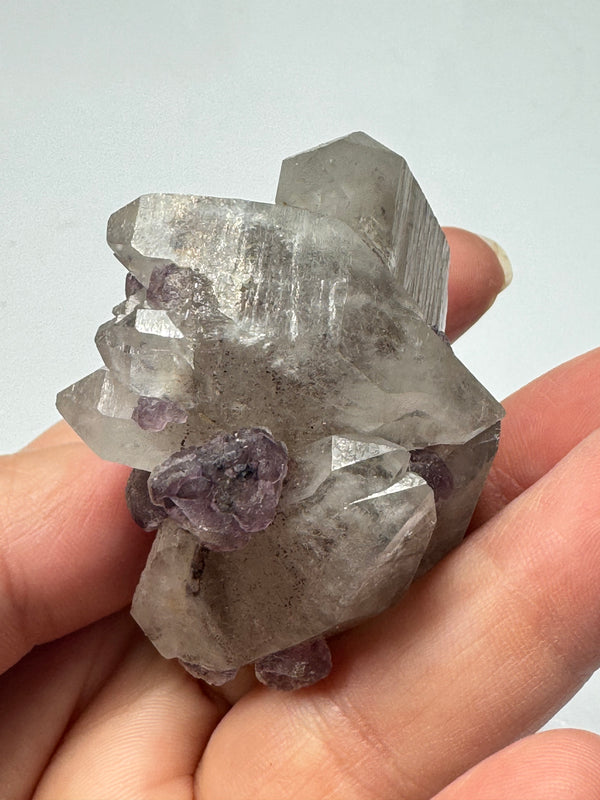 *Rare* Arizona USA Fluorite & Quartz/Hand-Dug